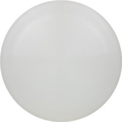 Discraft ESP Raptor White Bottom Stamp