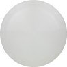 Discraft ESP Raptor White Bottom Stamp