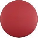 Innova DX Aviar3 Blank