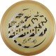 Discraft Metallic Z Zone 2021 Brian Earhart Tour Series